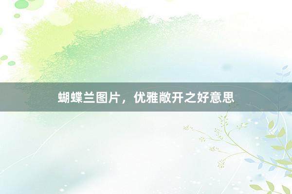 蝴蝶兰图片，优雅敞开之好意思
